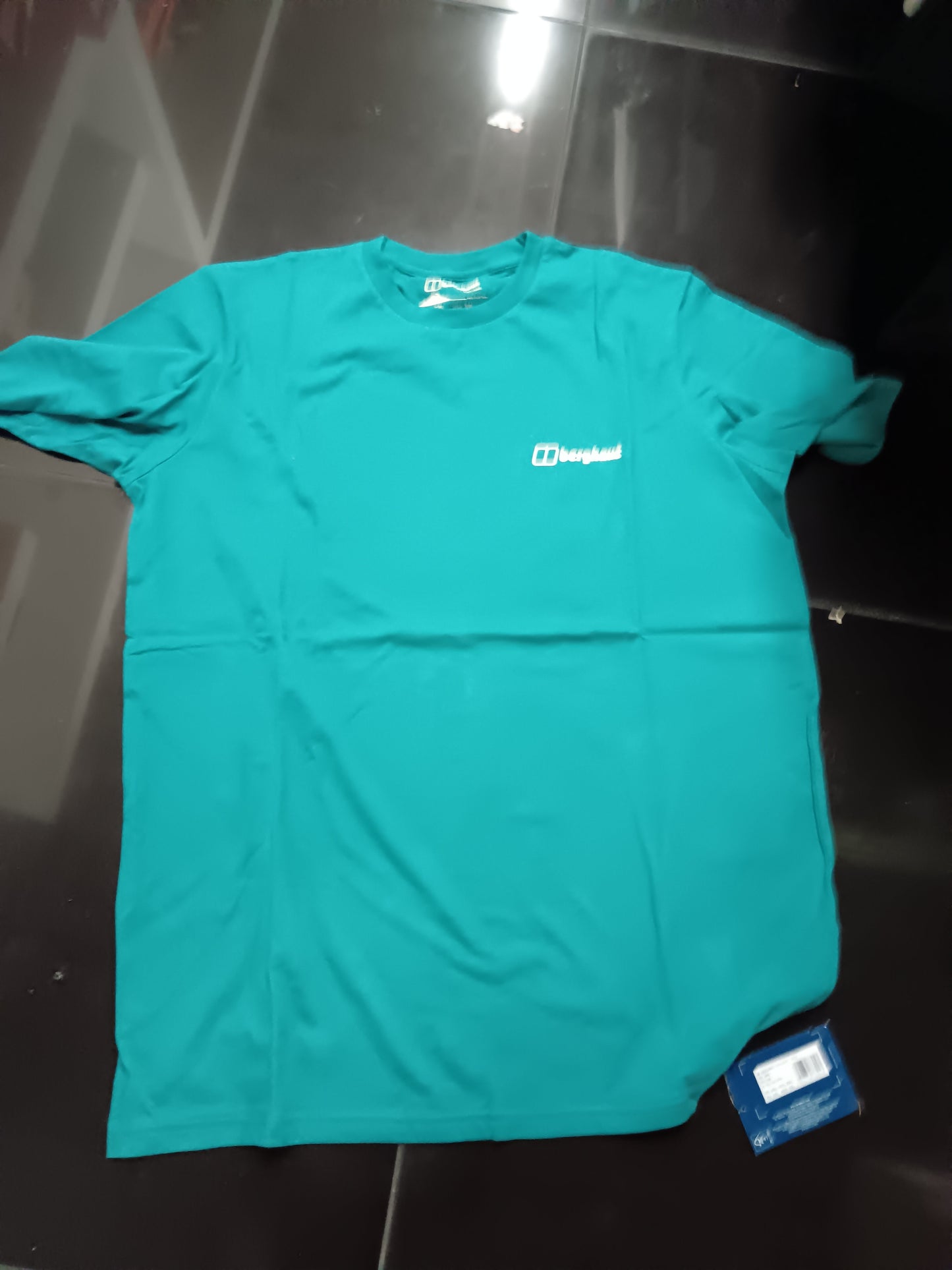 Berghaus mens geology colour logo ss tee
