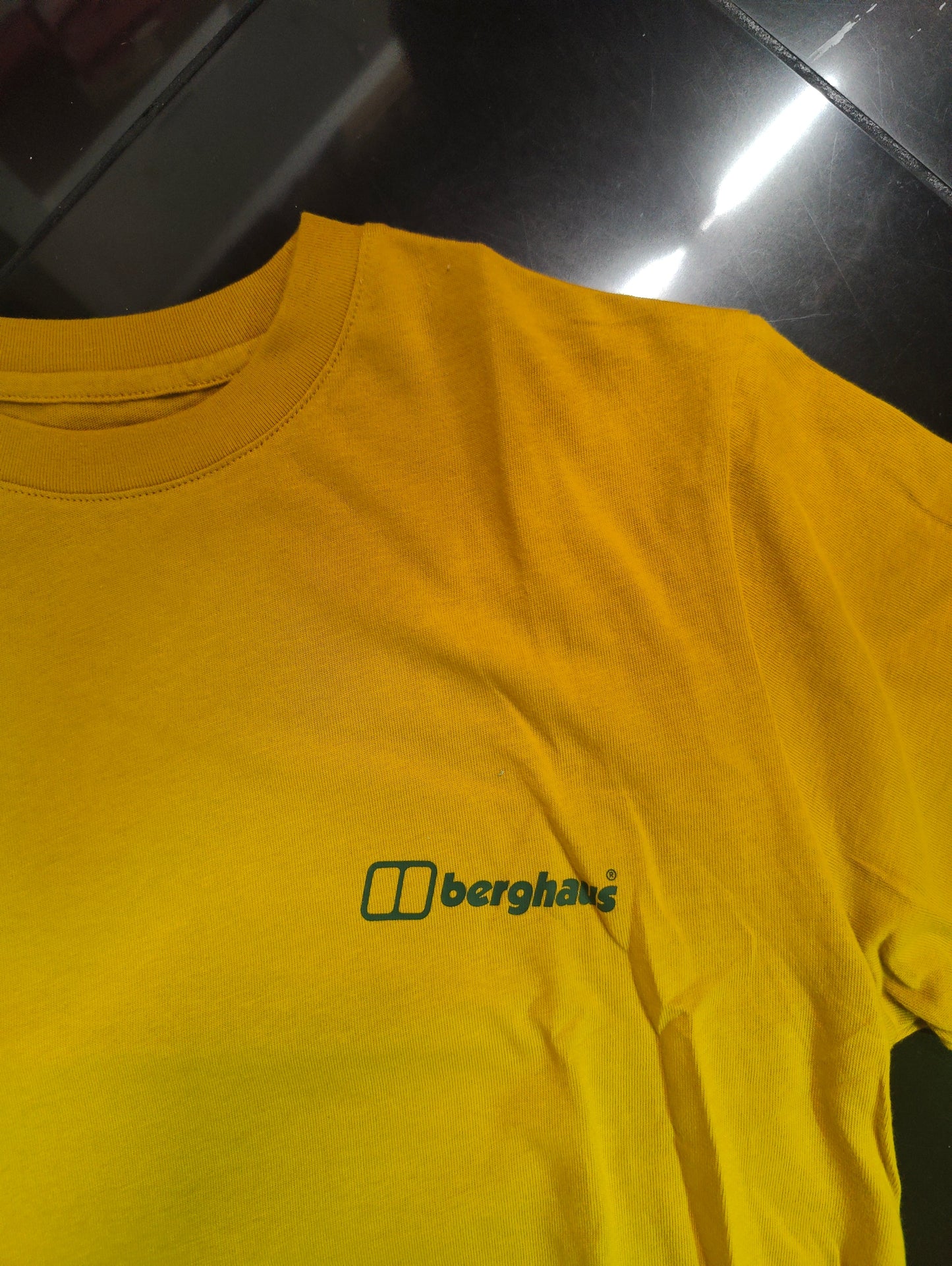 Berghaus Men's buttermere t shirt