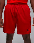 Jordan Sport Dri-FIT Mesh Shorts